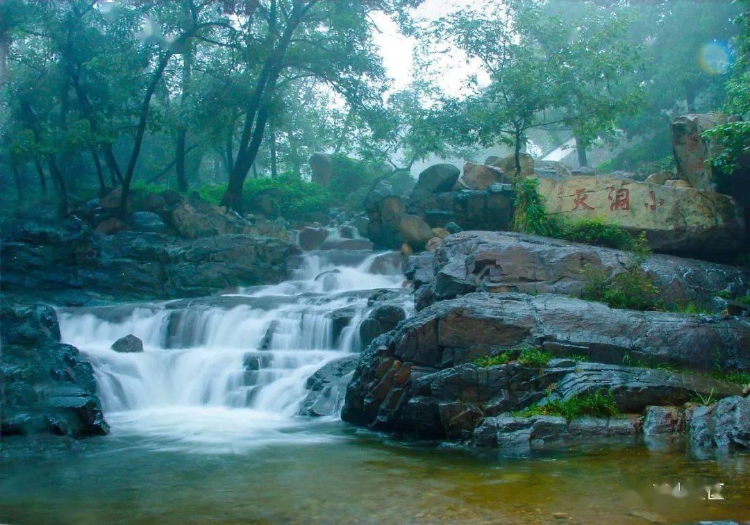 动物帮帮忙保卫家园